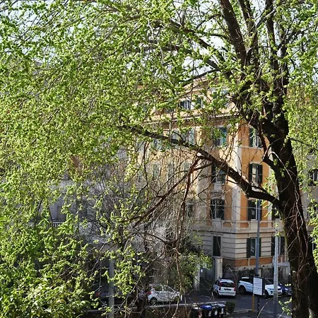 Trastevere Boulevard-2